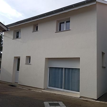 Maison De Ville Avec Jardin-Reve A Rixheim! Exterior foto